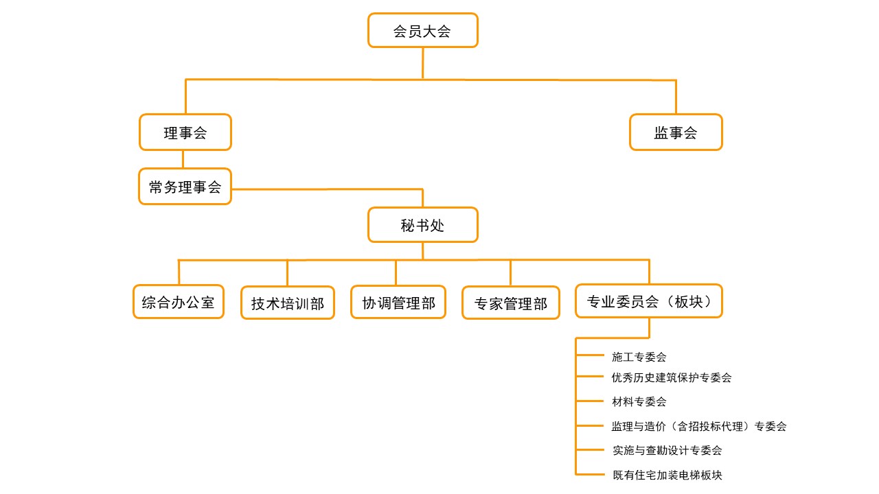 组织框架.jpg